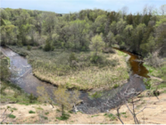 Carver Creek stream restoration site 
