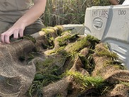 aquatic plants woven through burlap
