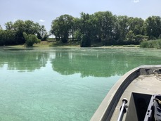 Side of boat with lake and trees in the background. Lake is blue-green colored due to algae. 