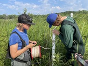 Staff checking groundwater sampling tubes in a field