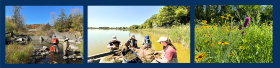 WMO annual report photo banner