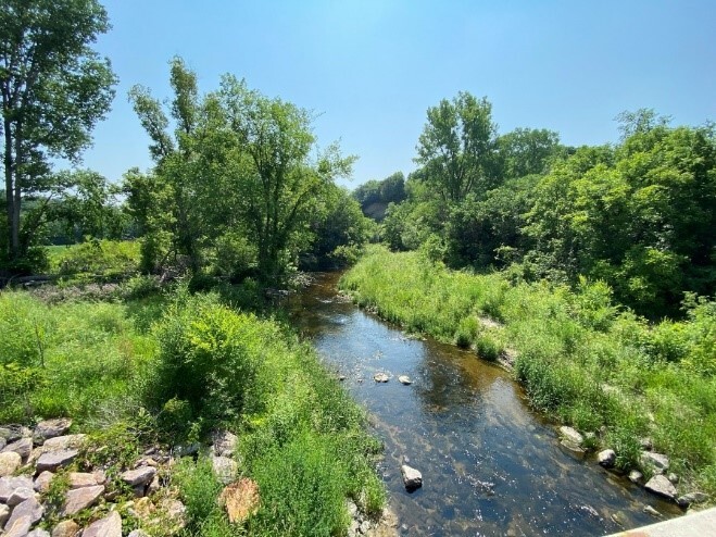 Silver Creek flowing and curving to the left, surrounded by green vegetation