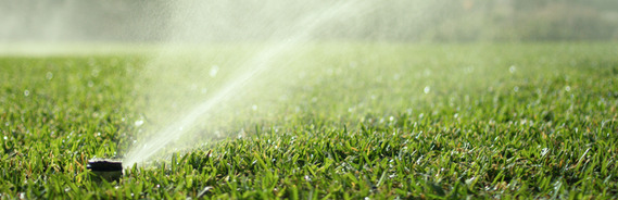 Irrigation head sprinklers 