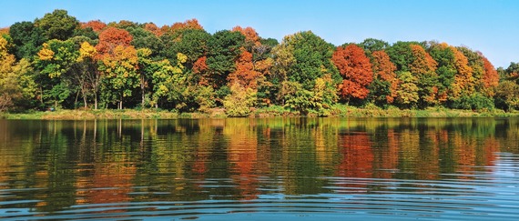 Big Woods Lake in Chaska with the far shoreline full of trees with early fall colors.
