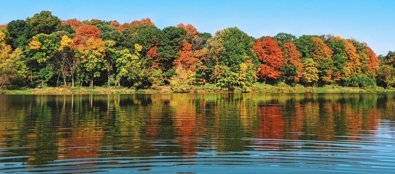 Trees with fall colors of red, orange, yellow and green with a lake in the foreground. 