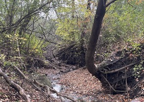 Eroded ravine in Chaska, Minnesota showing bare soils and a steep slope on the right side. 
