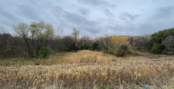 View of the ravine site from Hwy 41.