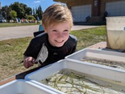 Child smiles while looking at trays of aquatic bugs