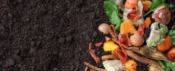 Dirt and food waste scraps