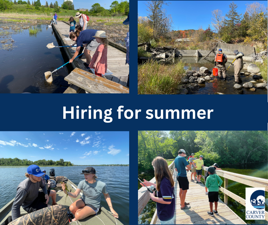 Interns monitoring water, fish and bugs with nets, doing public education