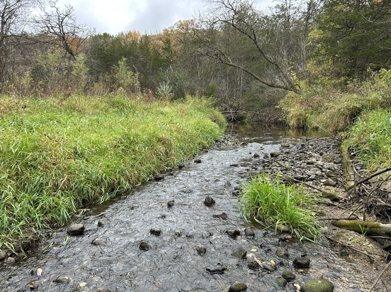 Silver Creek in Carver County Minnesota 