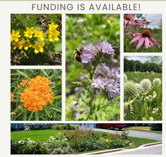 Grants for plants advertisement
