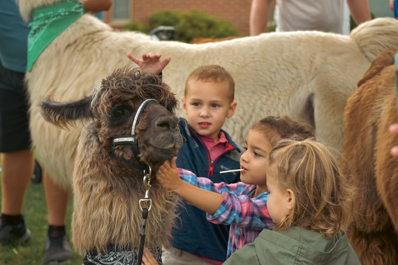 Three young kids petting a llama's head