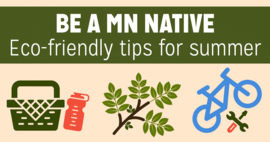 Be a MN Native | Eco-friendly tips for summer | Picnic basket and water bottle, ash tree branch, bike with tools