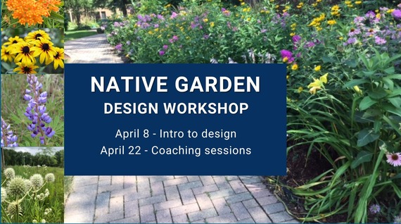 Native Garden Design Workshop | April 8 - Intro to design | April 22 - Coaching sessions