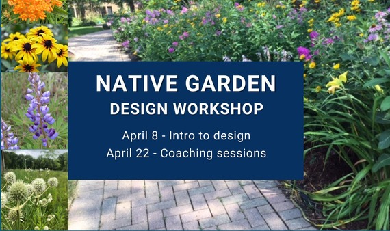 Native Garden Design Workshop | April 8 - Intro to design | April 22 - Coaching sessions