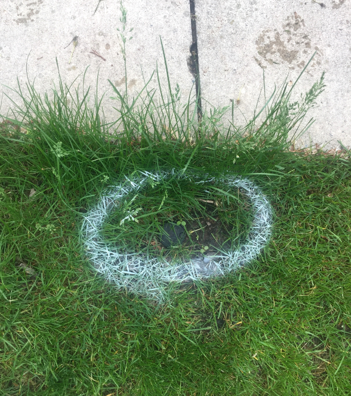 Example of Spray-Painting a Private Utility