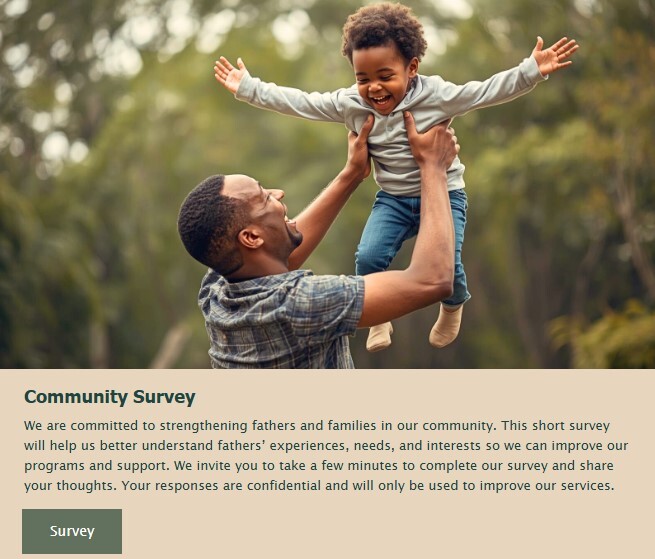 Global Fatherhood Survey