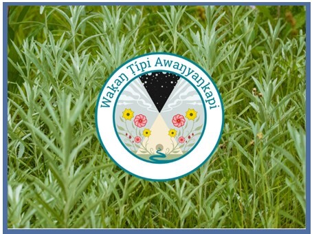 Wakan tipi logo