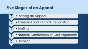 Screenshot of the Steps in an Appeal self-help video