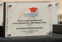 Mini-MBA diploma