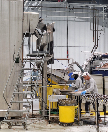 North Freeze Dry's new Spiralizer machine.