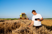 Agriculture stock photo