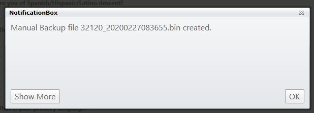 A system notification message stating manual backup file 32123_20200227083655.bin created. 