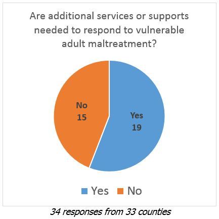 Are additional services or supports needed to respond to VA maltreatment? (Yes=19, No=15)