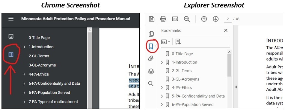 screenshots showing how to change view in Chrome and Explorer