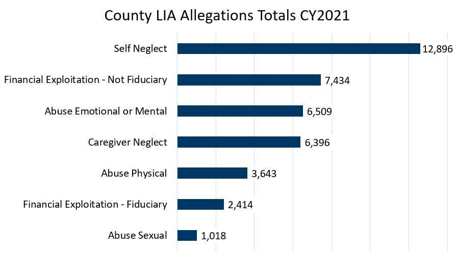 County LIA Allegations Totals CY2021