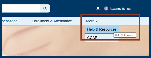 Screenshot of the how to get to the Help & Resources feature from the top navigation when logged in to the Provider Hub