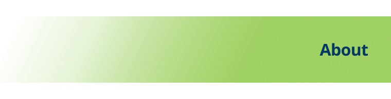 Graphic with navy blue text "About" on a green background