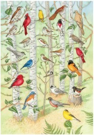 poster of minnesota birds