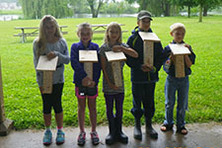building bee house