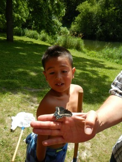 boy and butterfly