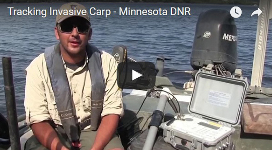 tracking the invasive carp