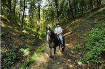 horse rider at forestville state park