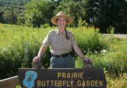 naturalist in butterfly garden