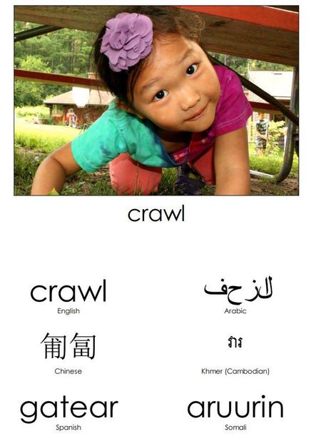 crawl in multiple languages