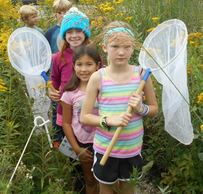kids catching butterflies