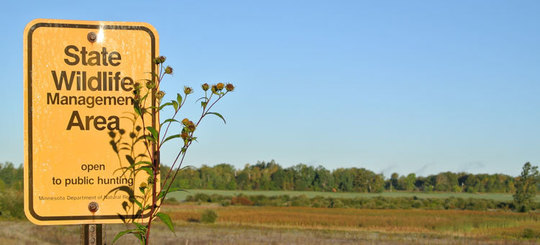 Wildlife management area