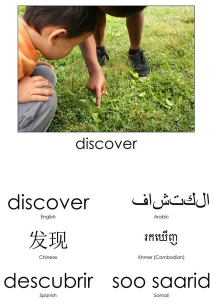 discover translated with photo of kids pointing
