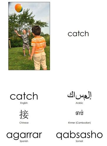 catch in multiple languages