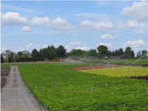 Irrigation of small field near homes