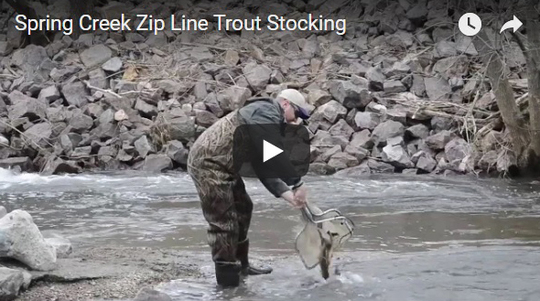 trout stocking on stream in Brown County