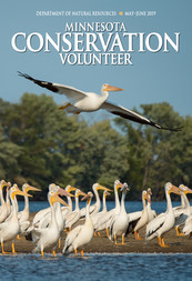 cover of Minnesota Conservation Volunteer magazine