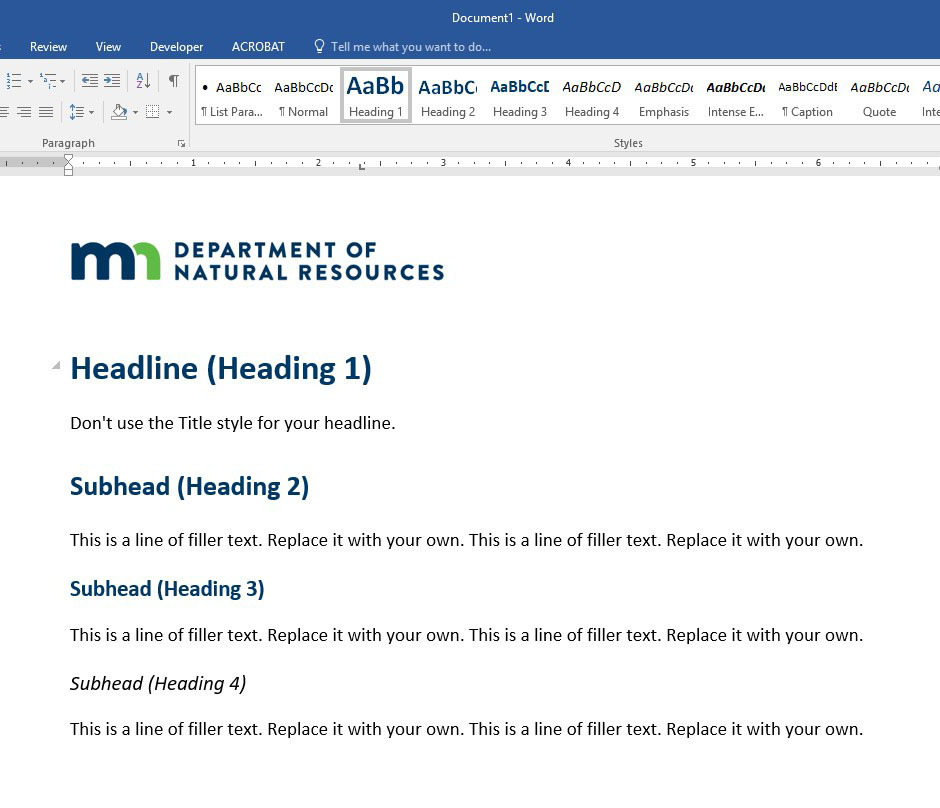 Screen shot of Word document with H1 style used for the headline.