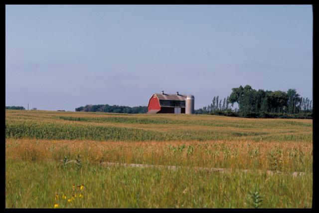 Farm with various cover crops