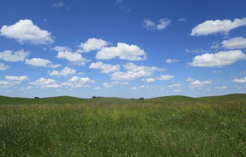 grassland and sky on a CPL project